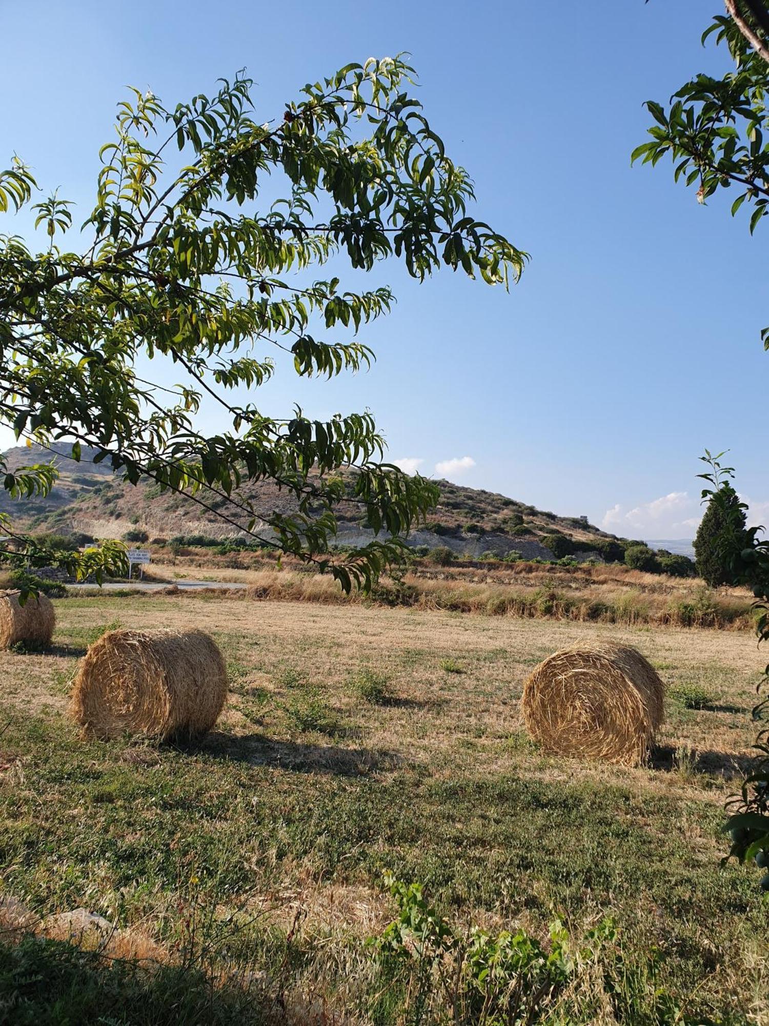 Vina Oliva Resort Piszúri Kültér fotó